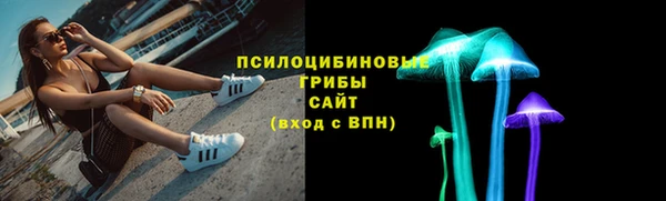 ECSTASY Няндома